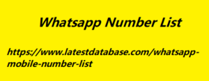 Whatsapp Number List 