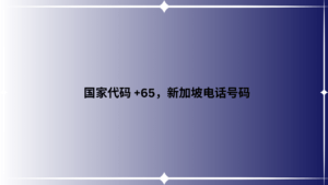 国家代码 +65，新加坡电话号码