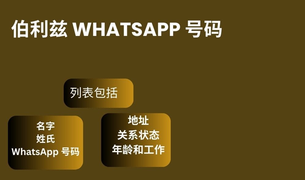 伯利兹 whatsapp 号码