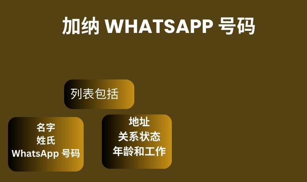 加纳 whatsapp 号码