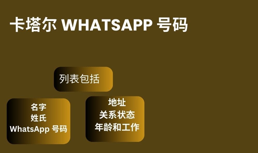 卡塔尔 whatsapp 号码