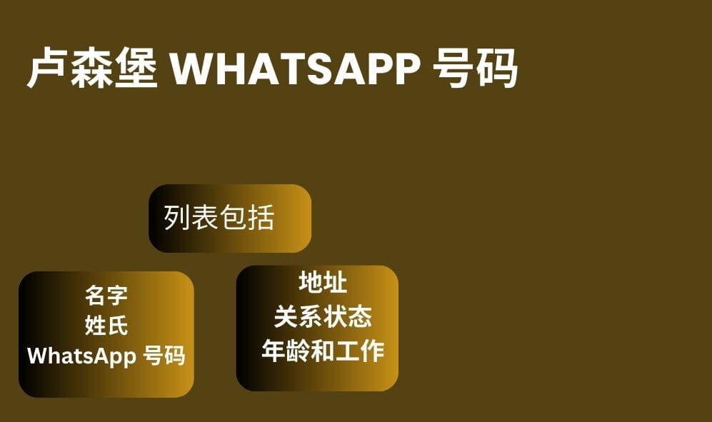 卢森堡 whatsapp 号码