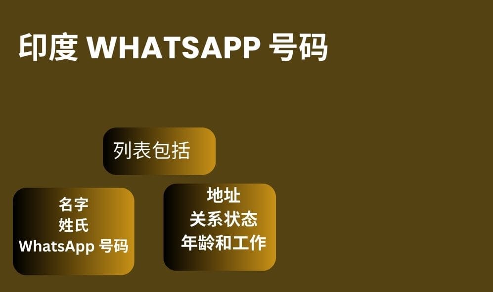 印度 whatsapp 号码