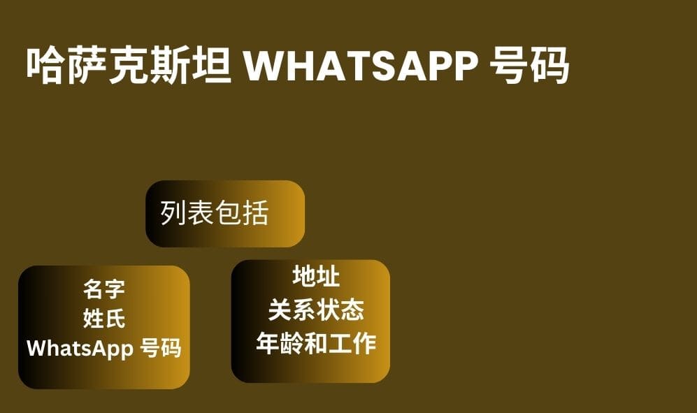 哈萨克斯坦 whatsapp 号码