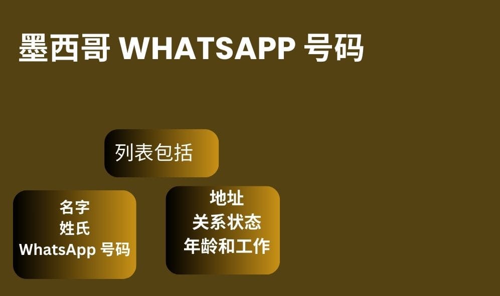 墨西哥 whatsapp 号码