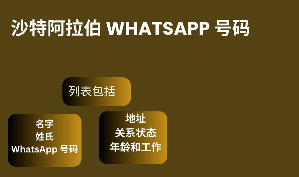 沙特阿拉伯 whatsapp 号码