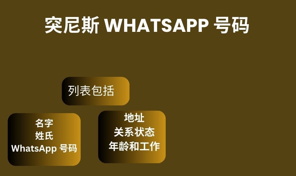 突尼斯 whatsapp 号码